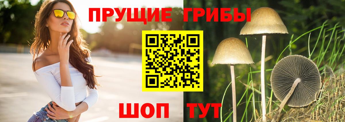 Псилоцибиновые грибы Cubensis Миллерово