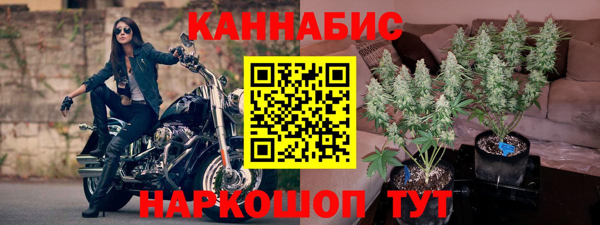 Бошки Шишки марихуана  Марихуана конопля  Миллерово  Вход с VPN 